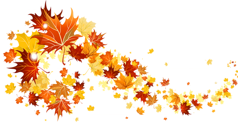 Fall Leaves Image - Fall Leaves Clipart Transparent Background (800x410), Png Download