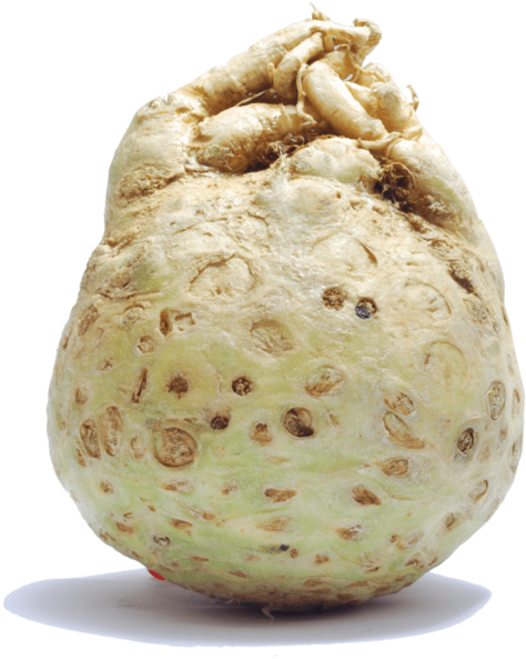 Celeriac - Cherimoya (1000x667), Png Download