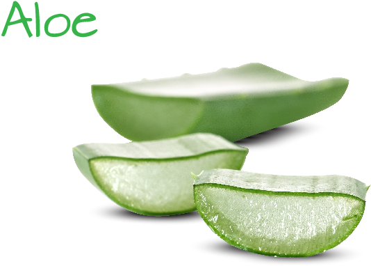 Ingredient Image Template 03 03 - Aloe Sllimming (729x488), Png Download