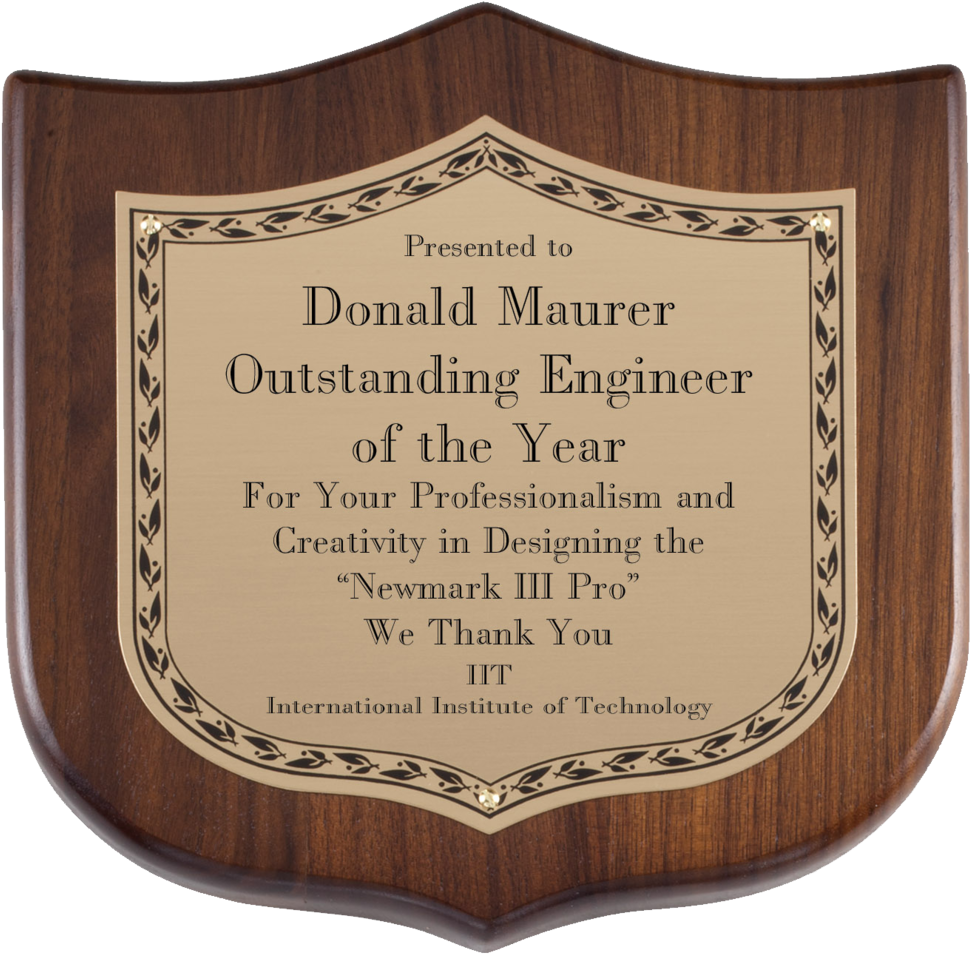 Gold Plate - P294 (1000x978), Png Download