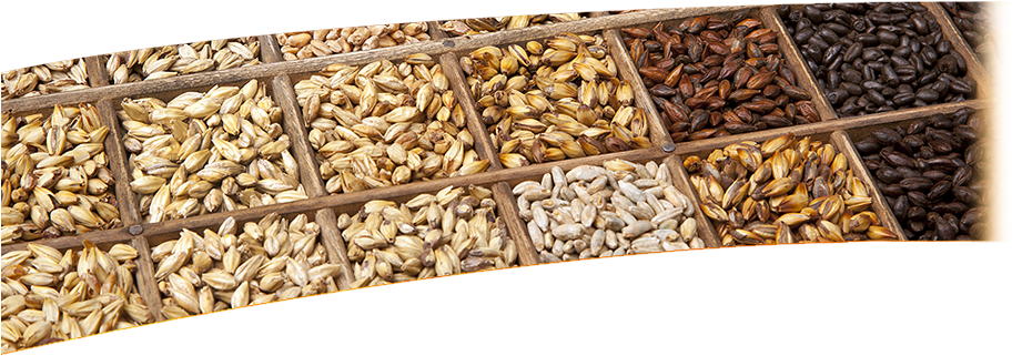 Superior Malts & Ingredients For The Food And Brewing - Brew Malt (920x424), Png Download