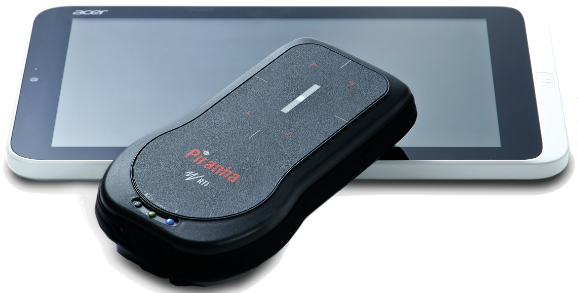 Redeye Piranha (1200x634), Png Download