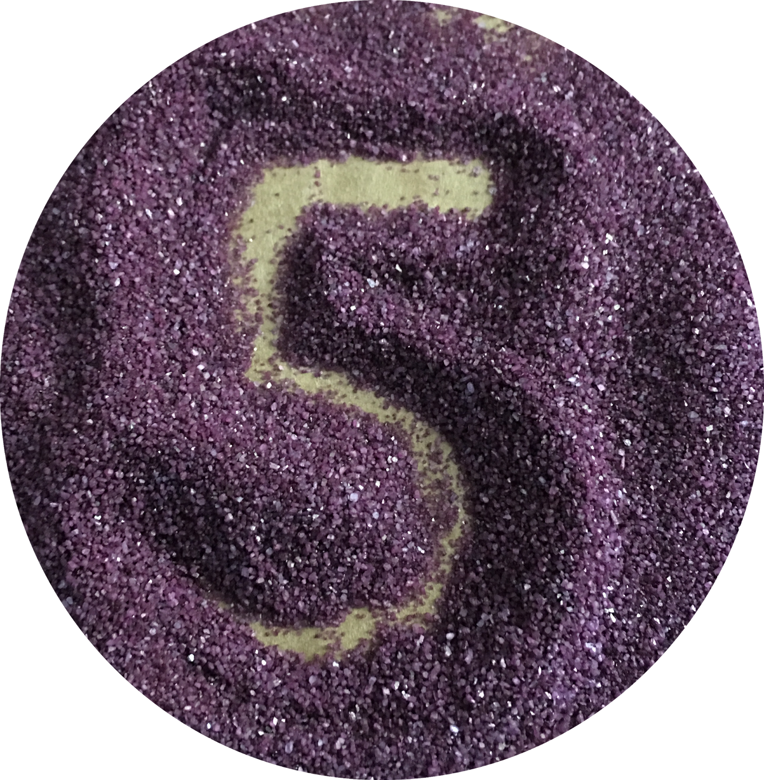 For Students With Significant Disabilities They Often - Circle (1568x1600), Png Download