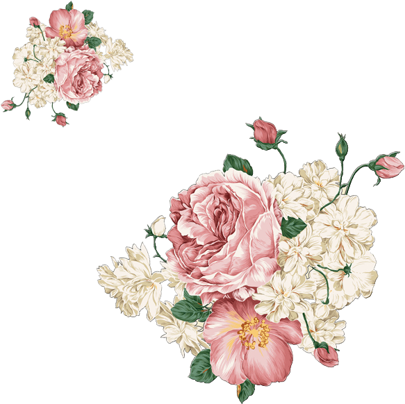 Vector Free Moutan Watercolor Painting Clip Art Pink - Lucky Flower Wall Stickers Art Decal Home Decor (600x600), Png Download