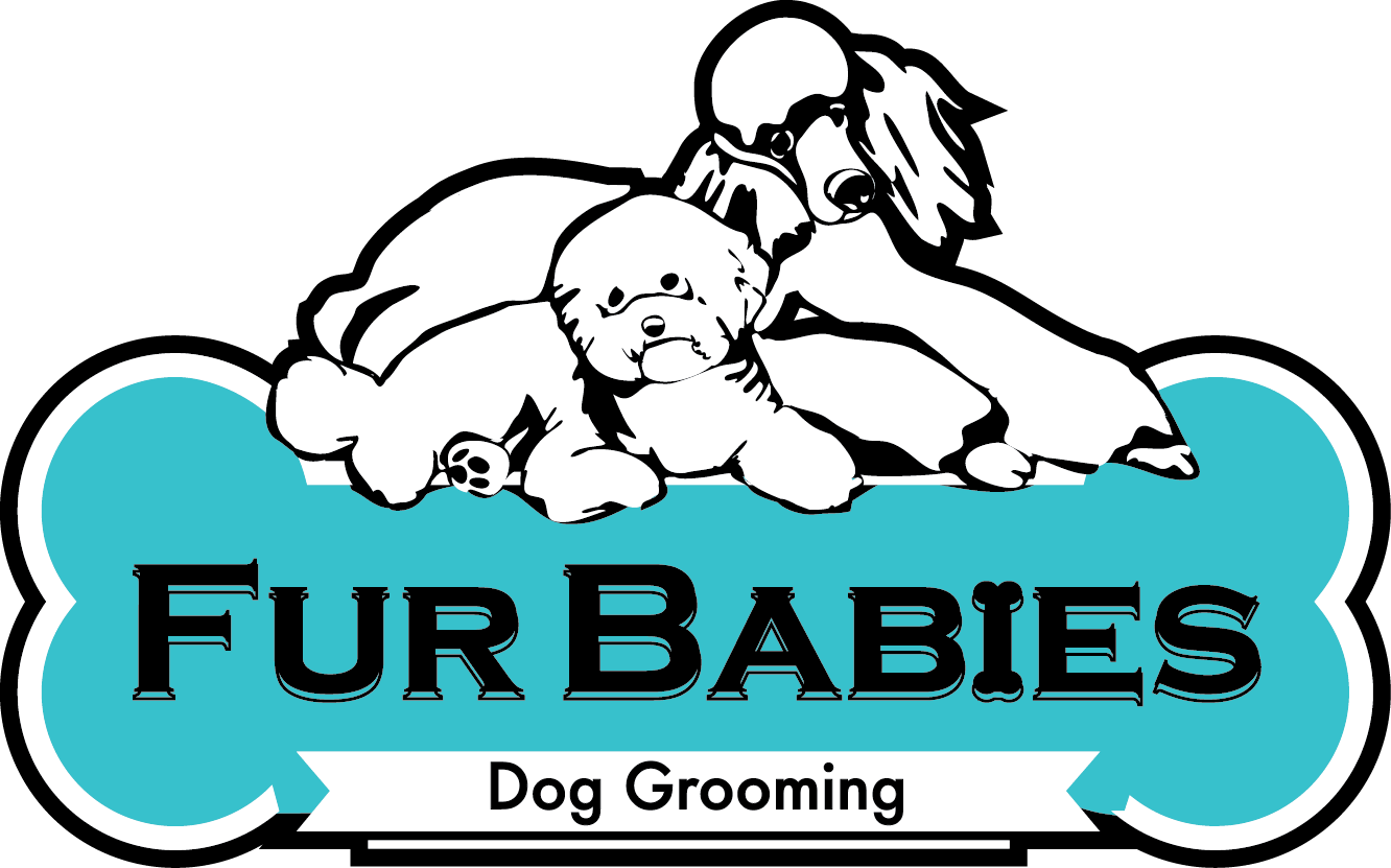 Where A Groomed Dog Is A Happy Dog - Fur Babies (1332x831), Png Download