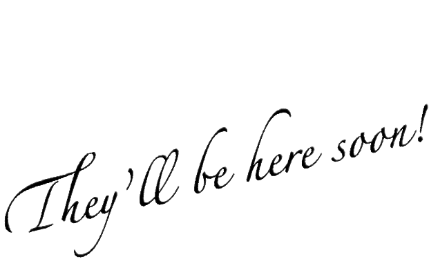 Chief Barketing Officer - Calligraphy (627x627), Png Download