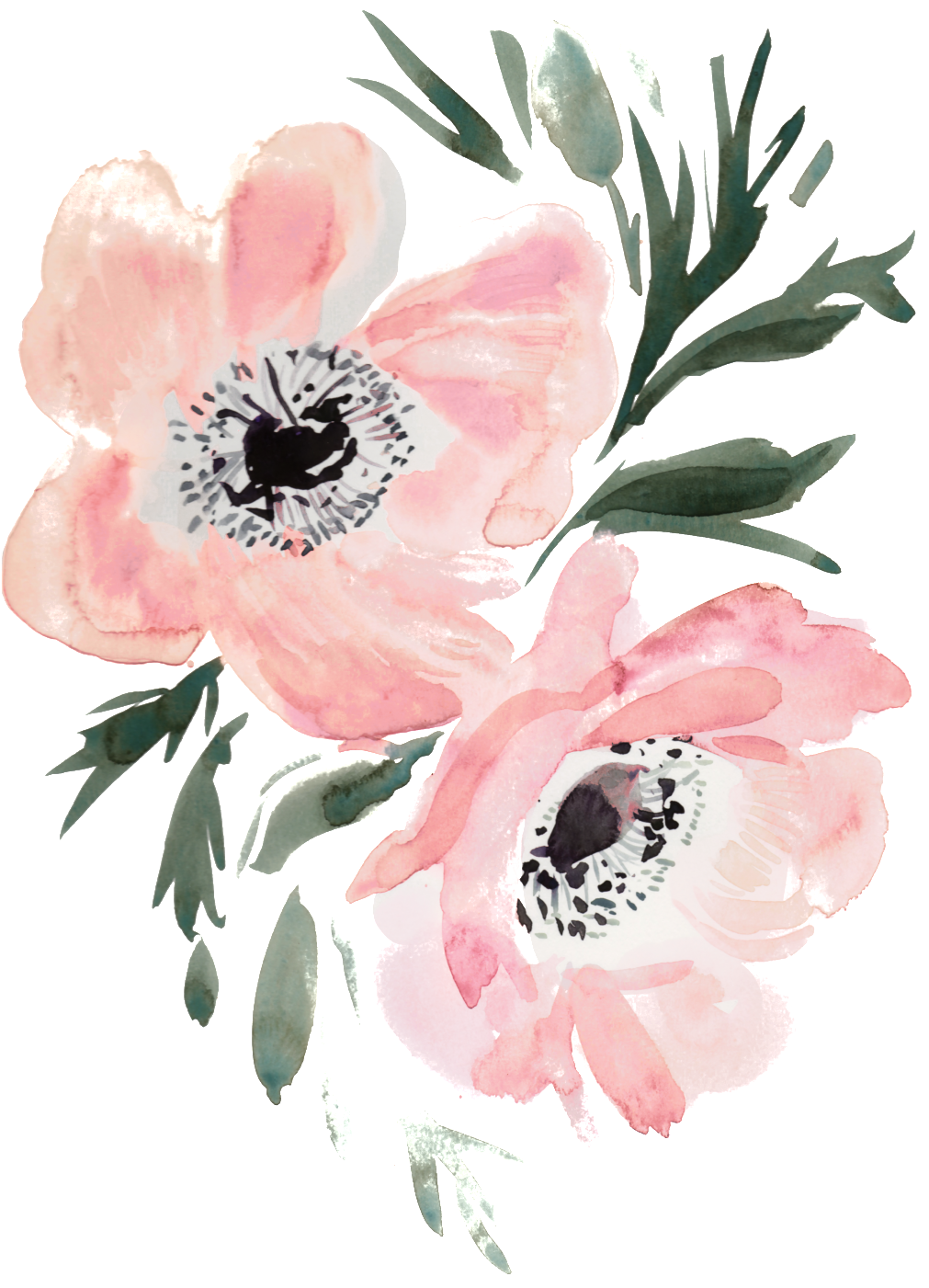 Slim Hand Painted Flowers Transparent Decorative - Peach Coral Floral Garden Party, Blank Words E (1024x1410), Png Download