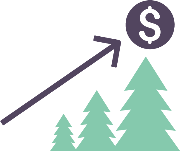 Achieving - Christmas Tree (975x659), Png Download