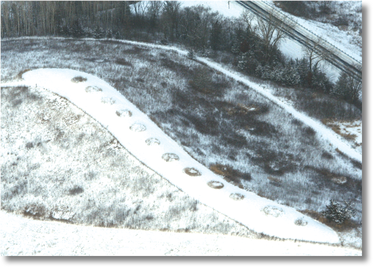 These Conical Mounds Are Part Of The Shadewald Mound - Marine Invertebrates (785x554), Png Download