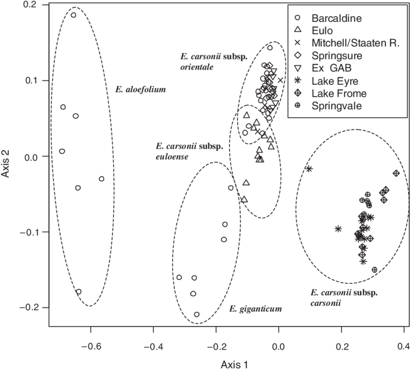 Nmds Ordination Of Morphometric Data Relating To Eriocaulon - Diagram (850x765), Png Download