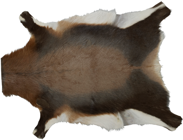 Bedrukt Imitatie Dierenvel 190x240cm Hert Donkerbruin (750x562), Png Download