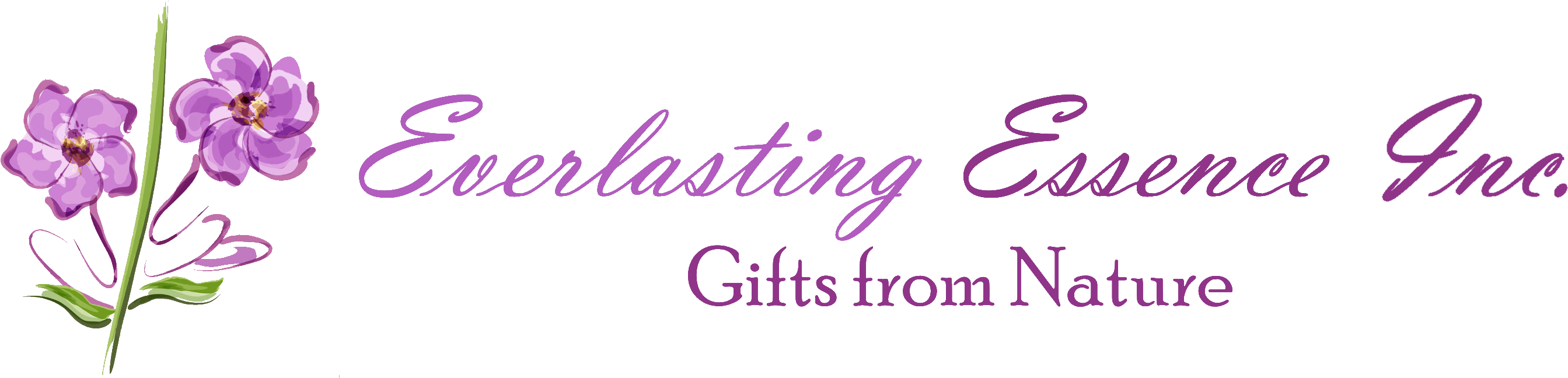 'ceramic' Essential Oil Bottle Necklace Everlasting - Shopping (2800x683), Png Download