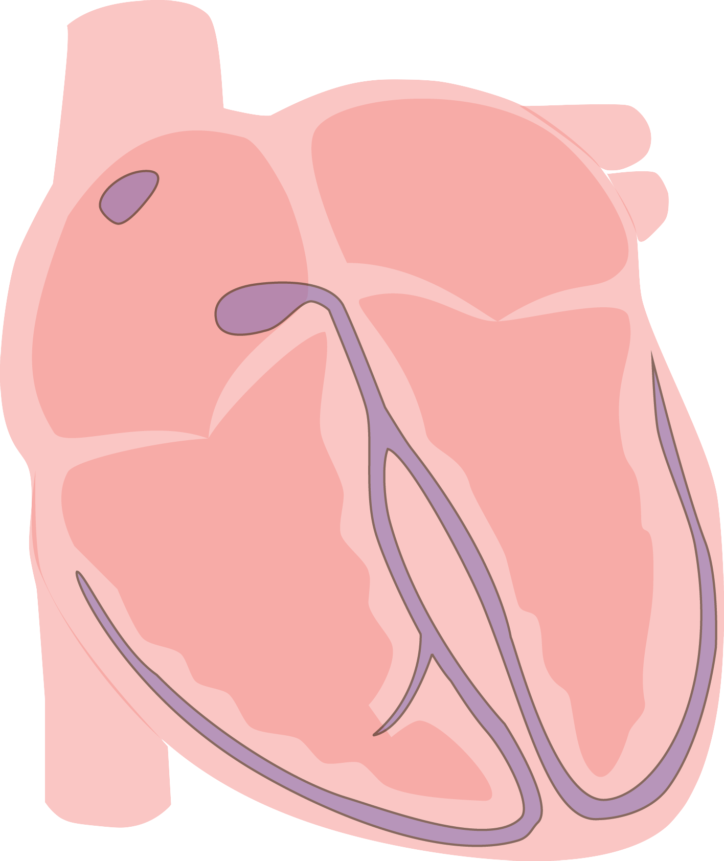 Heart Vector Electrical Rest - Heart Cartoon Electrical (1416x1684), Png Download