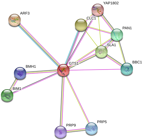 Network - Diagram (976x492), Png Download