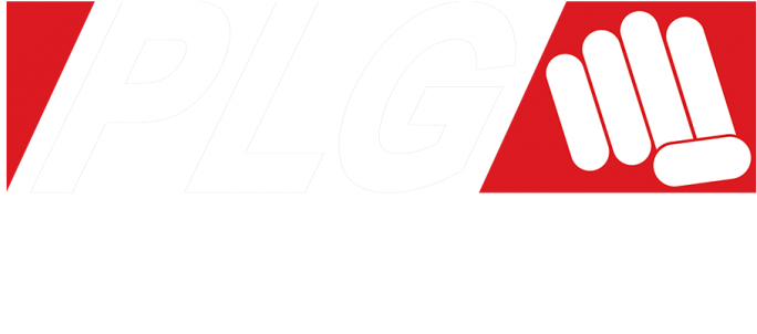 Plg Grand Slam, Plg Nationals Season 1, Overwatch Tournament - Plg Grand Slam (820x400), Png Download