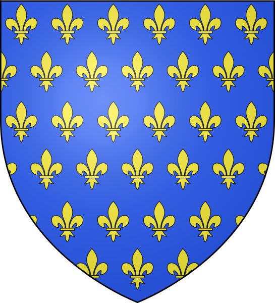 Ancient French Coat Of Arms - France Old Coat Of Arms (545x600), Png Download