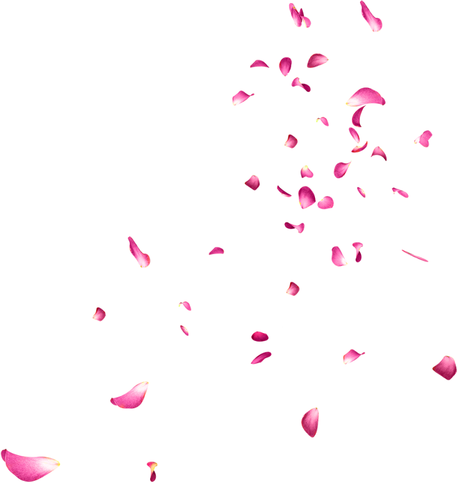 Falling Rose Petals Png Picture - Flower Images Editing (1000x1600), Png Download