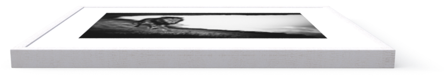 Photo Free Lion In The Wild - Bed Frame (1502x1000), Png Download