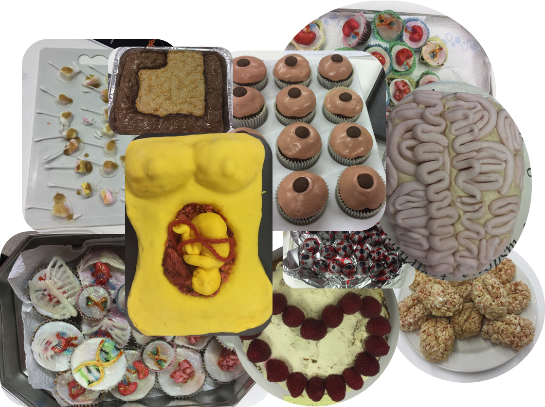 0 Replies 4 Retweets 4 Likes - Pignolo (1120x838), Png Download