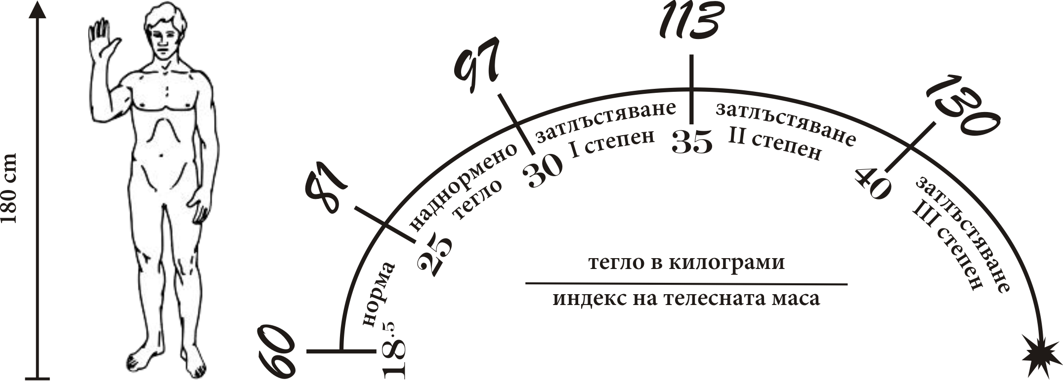 Bmi 180 Cm Height - Diagram (2151x774), Png Download