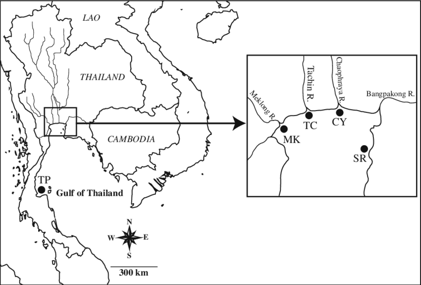 A Map Of The Gulf Of Thailand Showing Sampling Locations - Thailand Map Black And White (850x575), Png Download