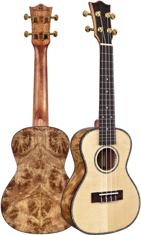 Snail Camphor Burl Ukulele - Burl Wood Ukulele (501x800), Png Download