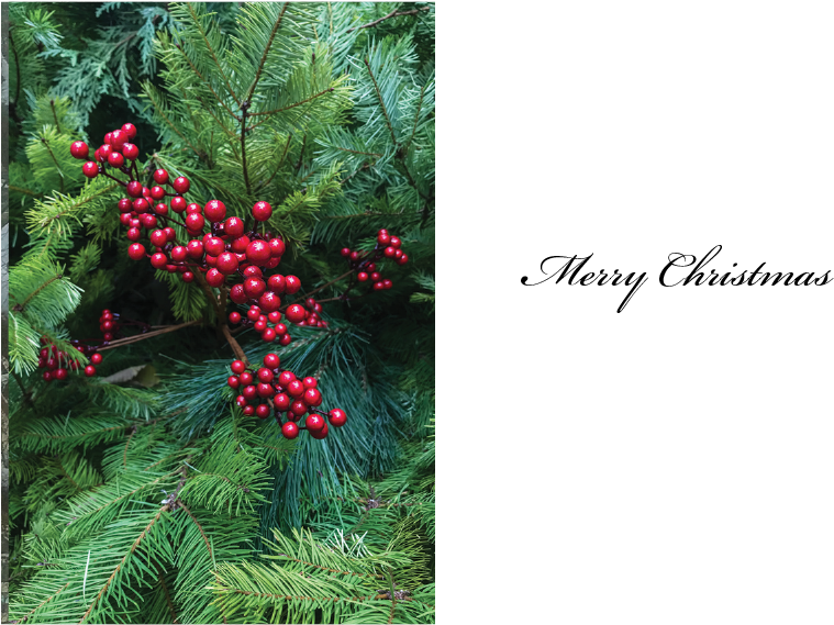 #18 Christmas Berries - Christmas Day (864x600), Png Download