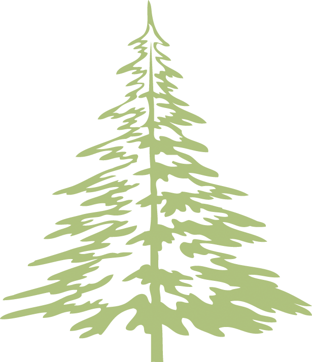 West Slope Library Green Tree - West Slope (615x714), Png Download