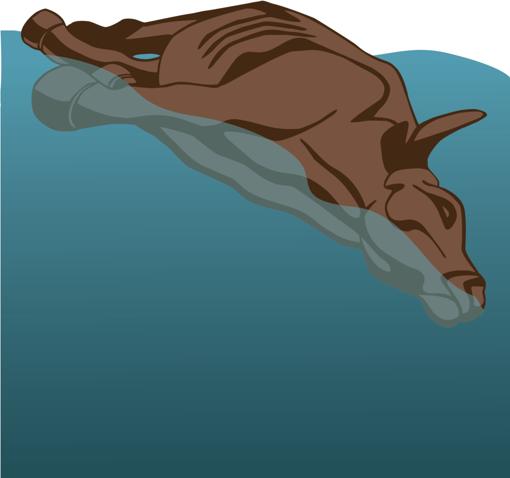 Bull-01 (1000x1300), Png Download