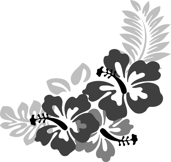 Hibiscus Black And White (600x570), Png Download