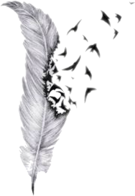 Plumas Png Tumblr - Feather Drawings With Birds (540x731), Png Download