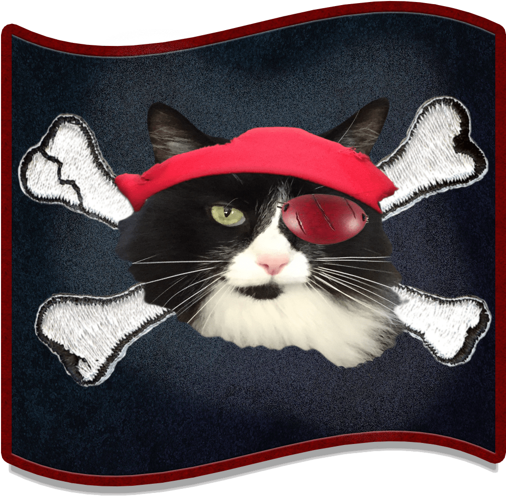 Catnip & Dog Biscuits - Pirate Tales By Richard Stephens 9781482343908 (paperback) (1000x1000), Png Download