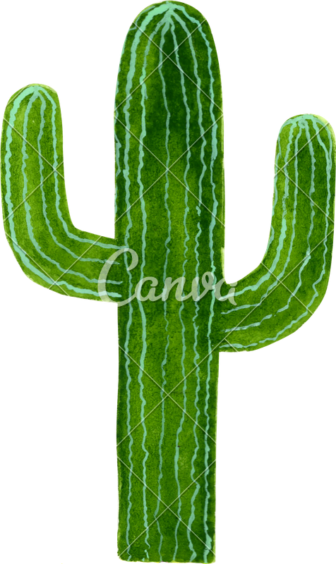 Photos By Canva - Photograph (476x800), Png Download