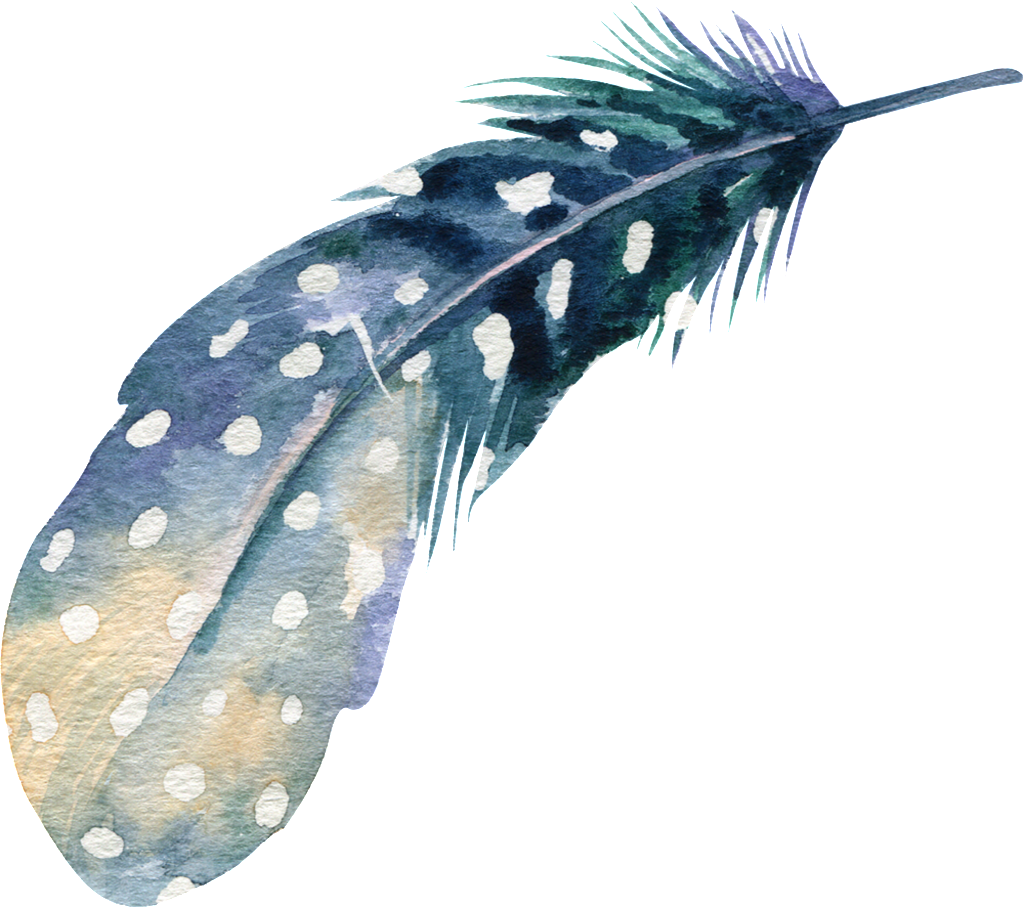 Png De Ornamentação Transparente Para As Plumas De - Elegant Background Full Colour (1024x908), Png Download