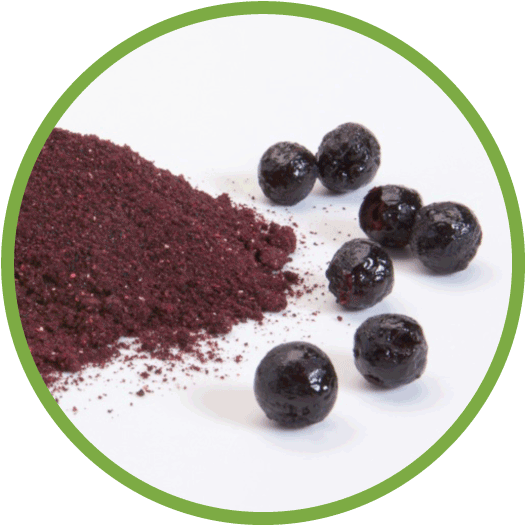 Aronia - Aronia Powder (562x562), Png Download