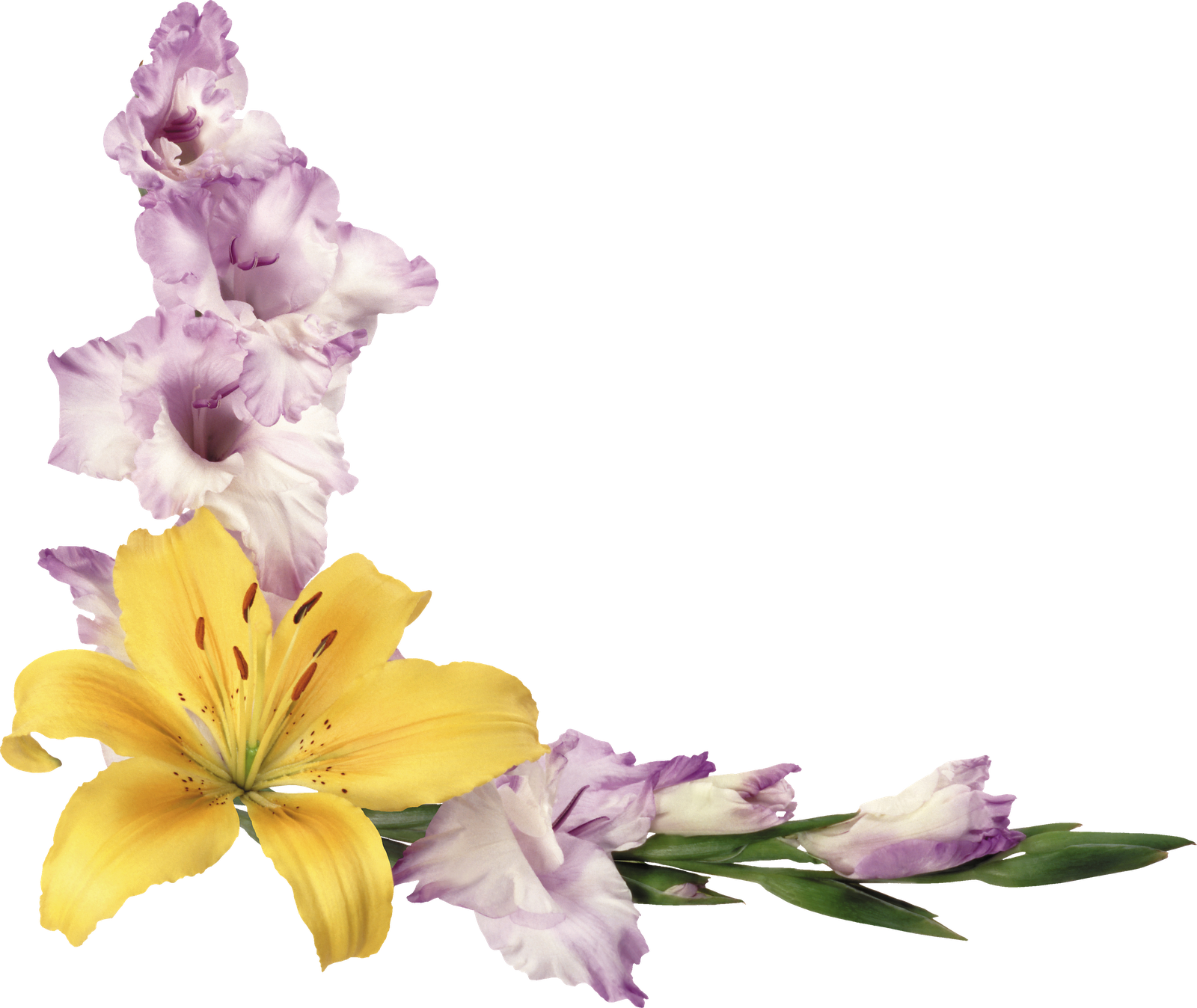 Fondos Flores Png Imagui - Birthday Card With Floral Sprays Card (1600x1348), Png Download