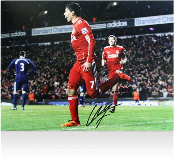 Luis Suarez Liverpool (650x665), Png Download