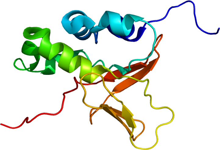Protein Tgfbi Pdb 1x3b - Tgfbi (771x542), Png Download