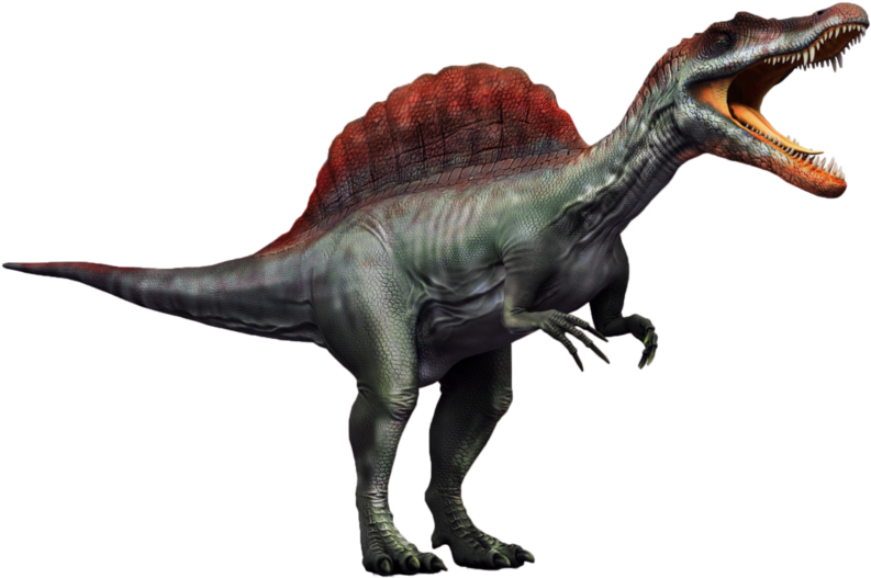 Spinosaurus Png Transparent Picture - Spinosaurus Dinosaur Transparent Background (800x535), Png Download