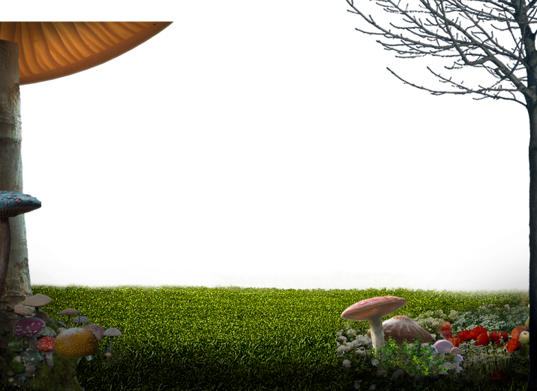 Fg 01 - Grass (780x568), Png Download