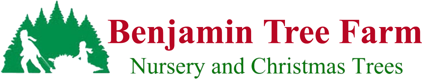 Benjamin Tree Farm - Father Christmas And The Missing Magic Sack. (1416x289), Png Download