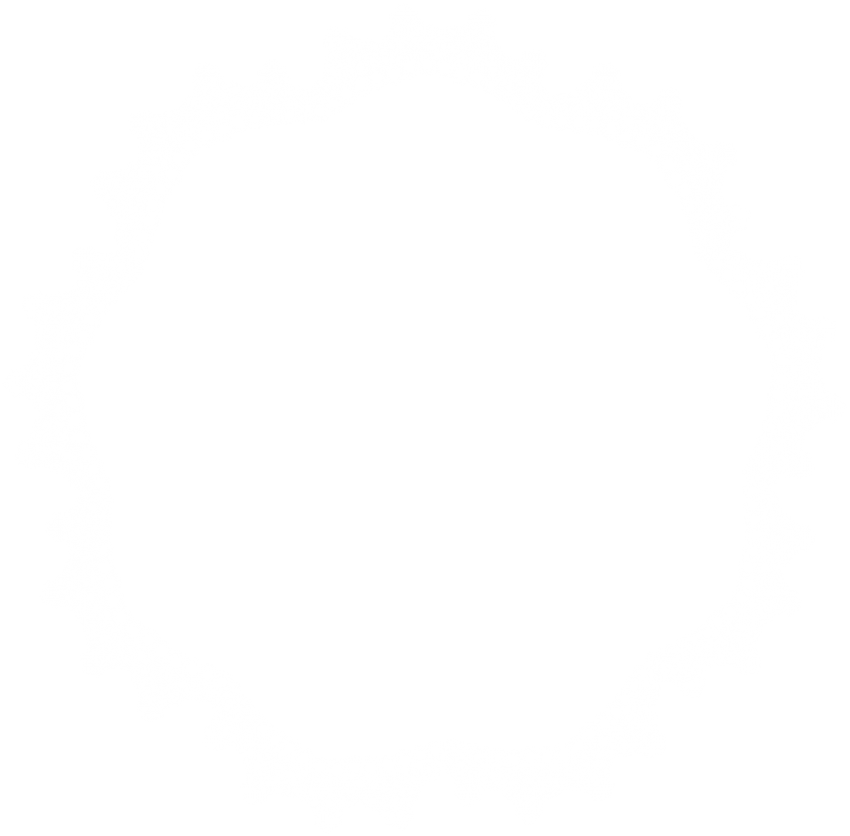 Free Png Round Lace Border Frame Png Png Images Transparent - Lace Border Circle Png (850x836), Png Download