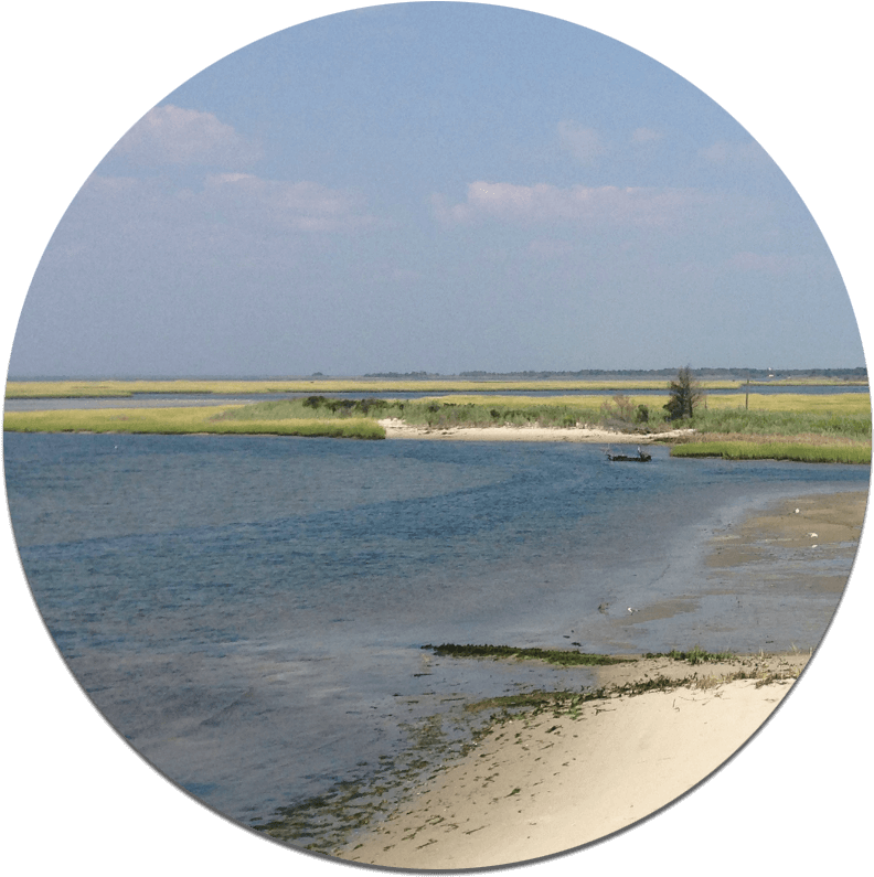 Forked River Nj - New Jersey (847x854), Png Download