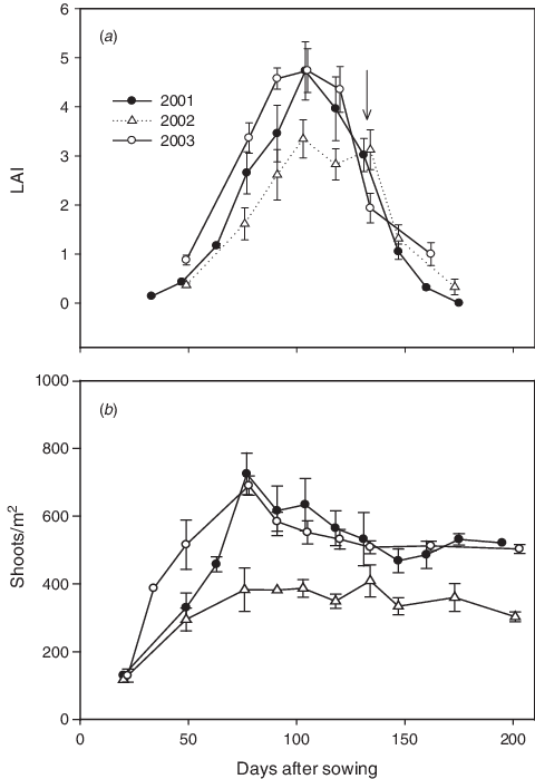The Course Of Leaf Area Index (lai) Of Wheat And (b) - Mean (480x699), Png Download