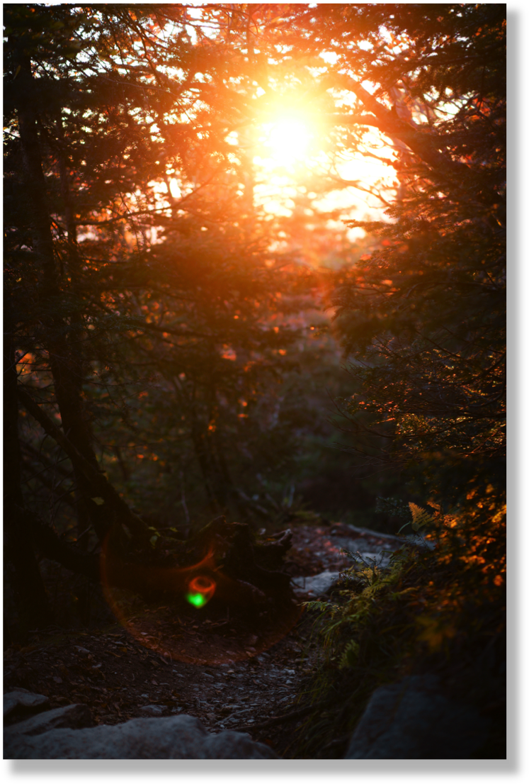 Trailghost Format=1000w (754x1113), Png Download