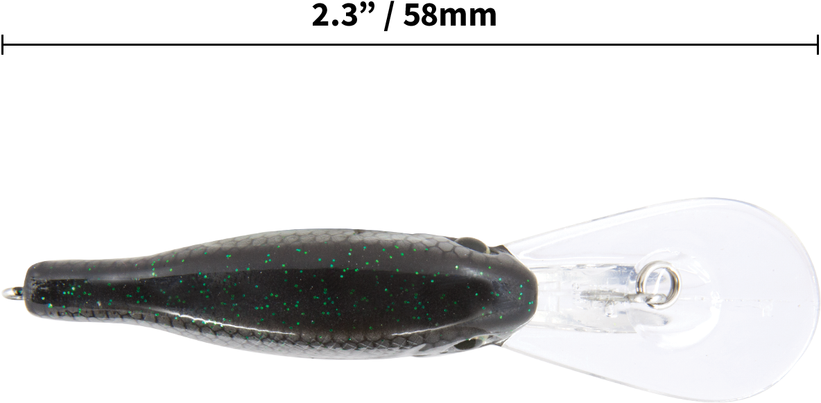 Series - Tournament - Cuttlefish (1200x900), Png Download