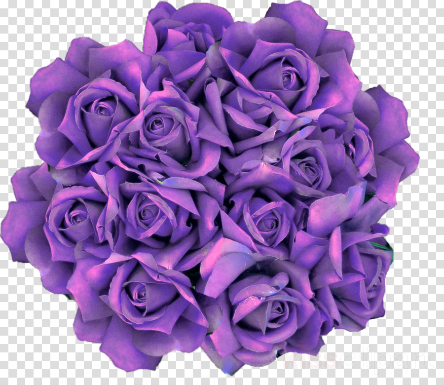 Clip Art Clipart Garden Roses Flower Clip Art - Purple Roses Drawings Transparent (900x780), Png Download