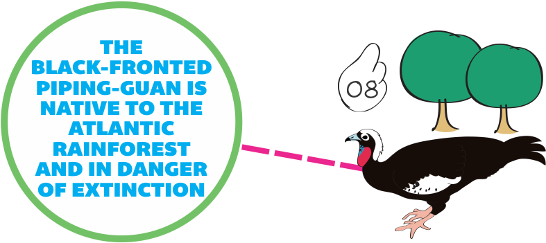 At "how We Save Species" Area, You Meet Some Bird Species - Turkey (960x350), Png Download