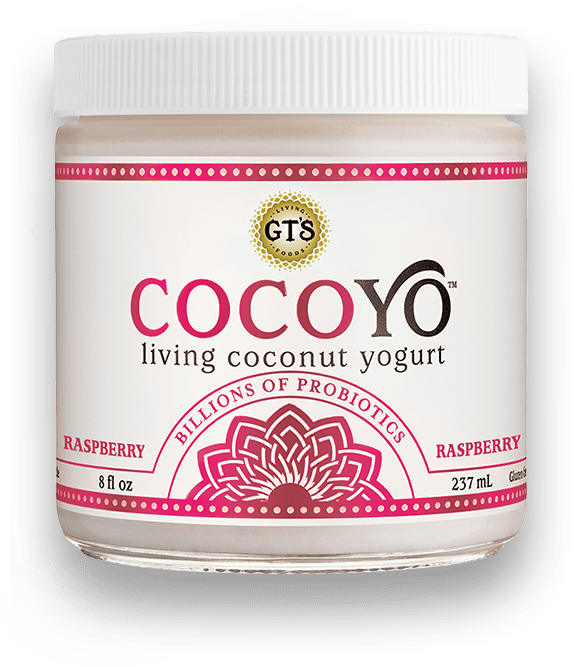 Cocoyo Raspberry - Gt's Cocoyo Living Coconut Yogurt (574x667), Png Download
