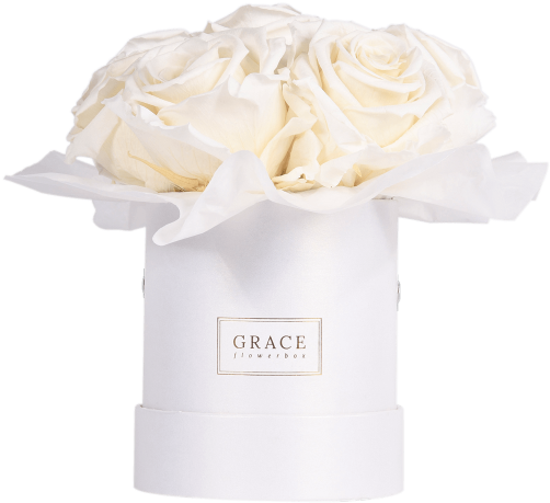 White Bouquet - Article (569x600), Png Download